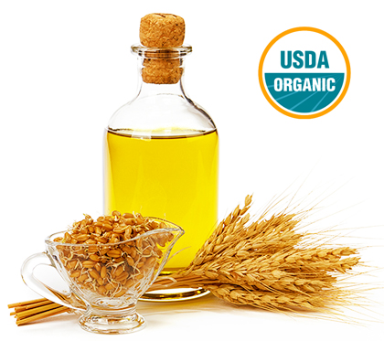 wholesale cold pressed organic wheat germ oil suppliers in united states
